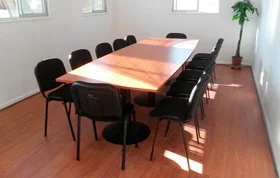 Mesa Reunión Puyehue