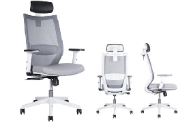 Silla Ejecutiva Modelo Lena Gris