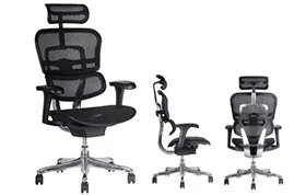 Silla Gerencia Ergofit